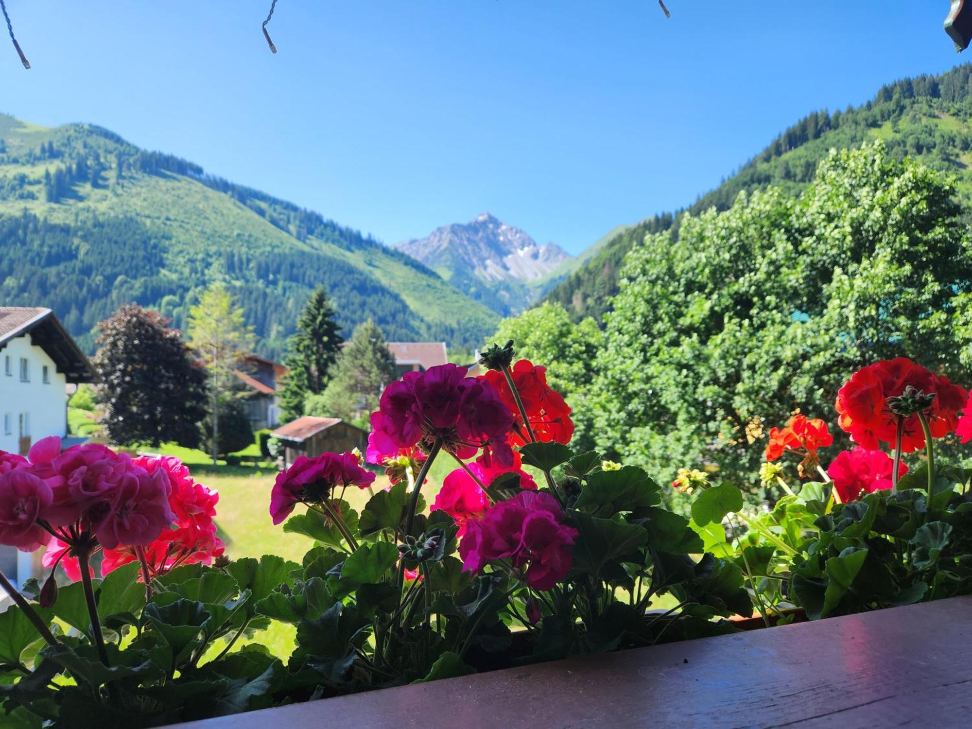 Am Muehlbach - Ferienwohnungen Luttinger Bichlbach Zewnętrze zdjęcie